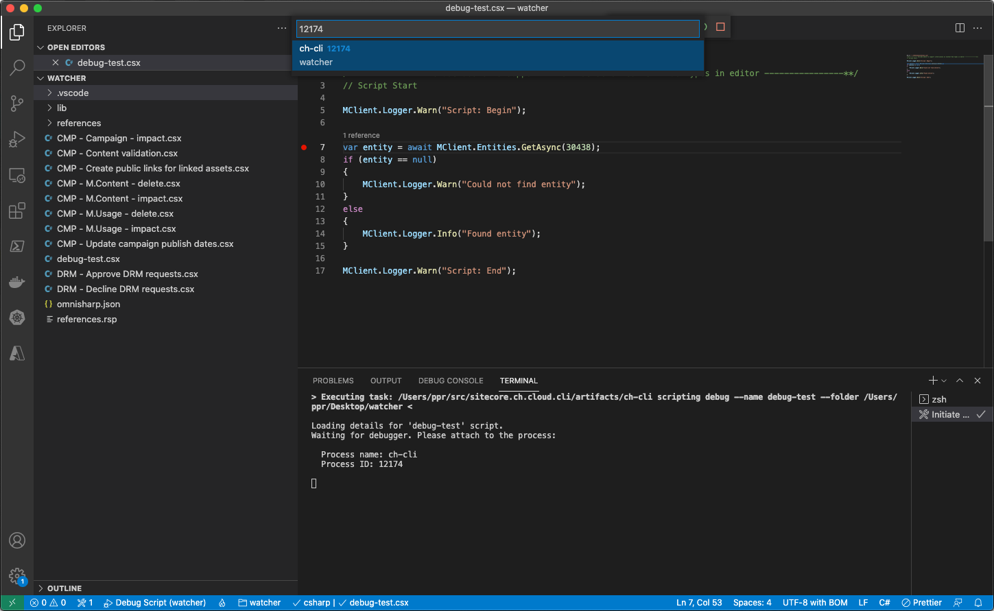 CLI Script Debug attach to process
