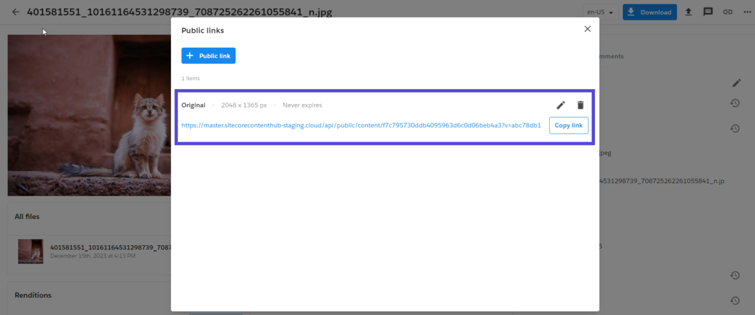 Example of a public link created automatically upon approval.