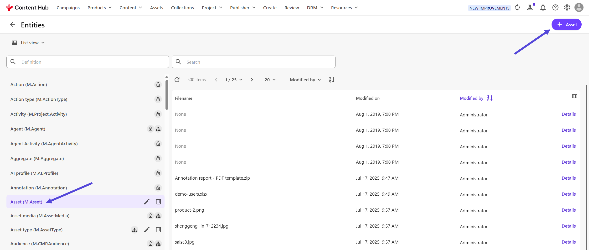 Entity list and entity creation button.