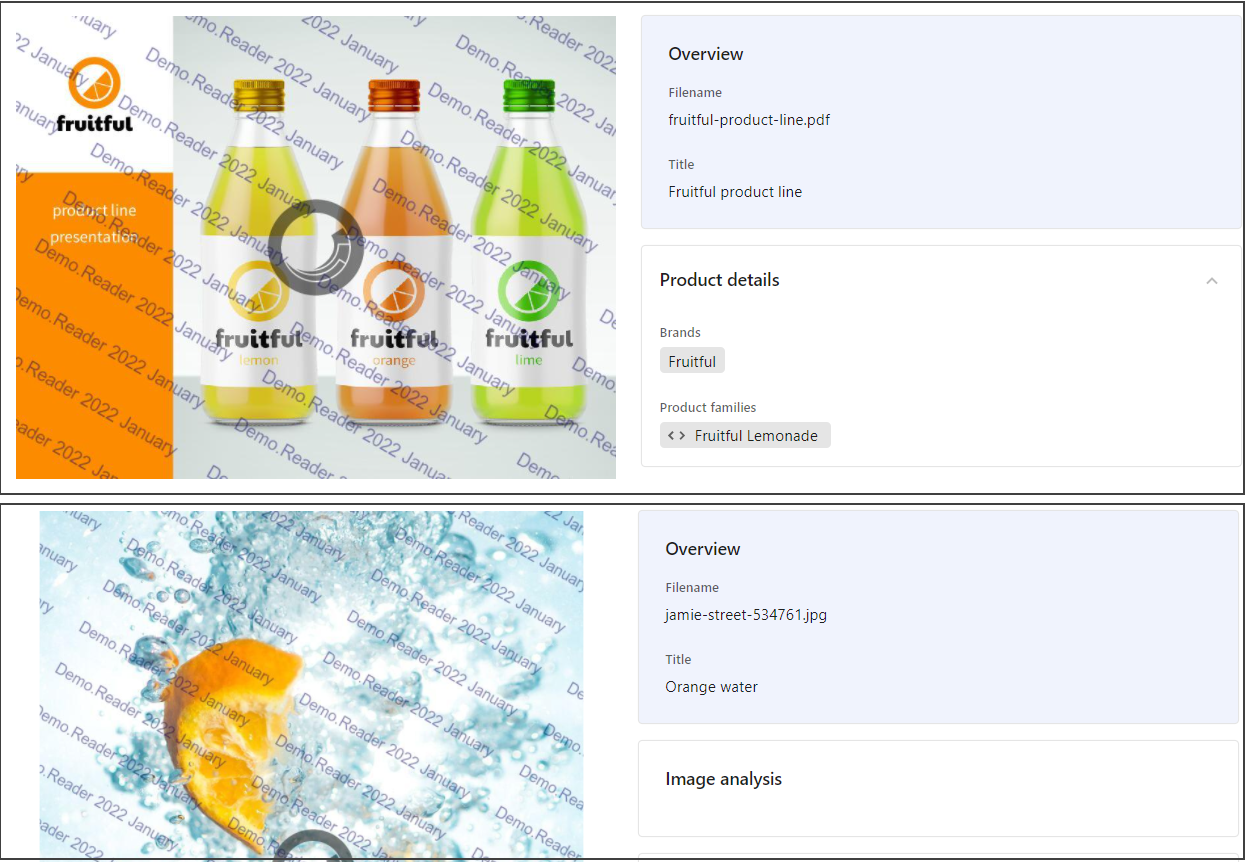 Example of watermarked assets Example of watermarked assets