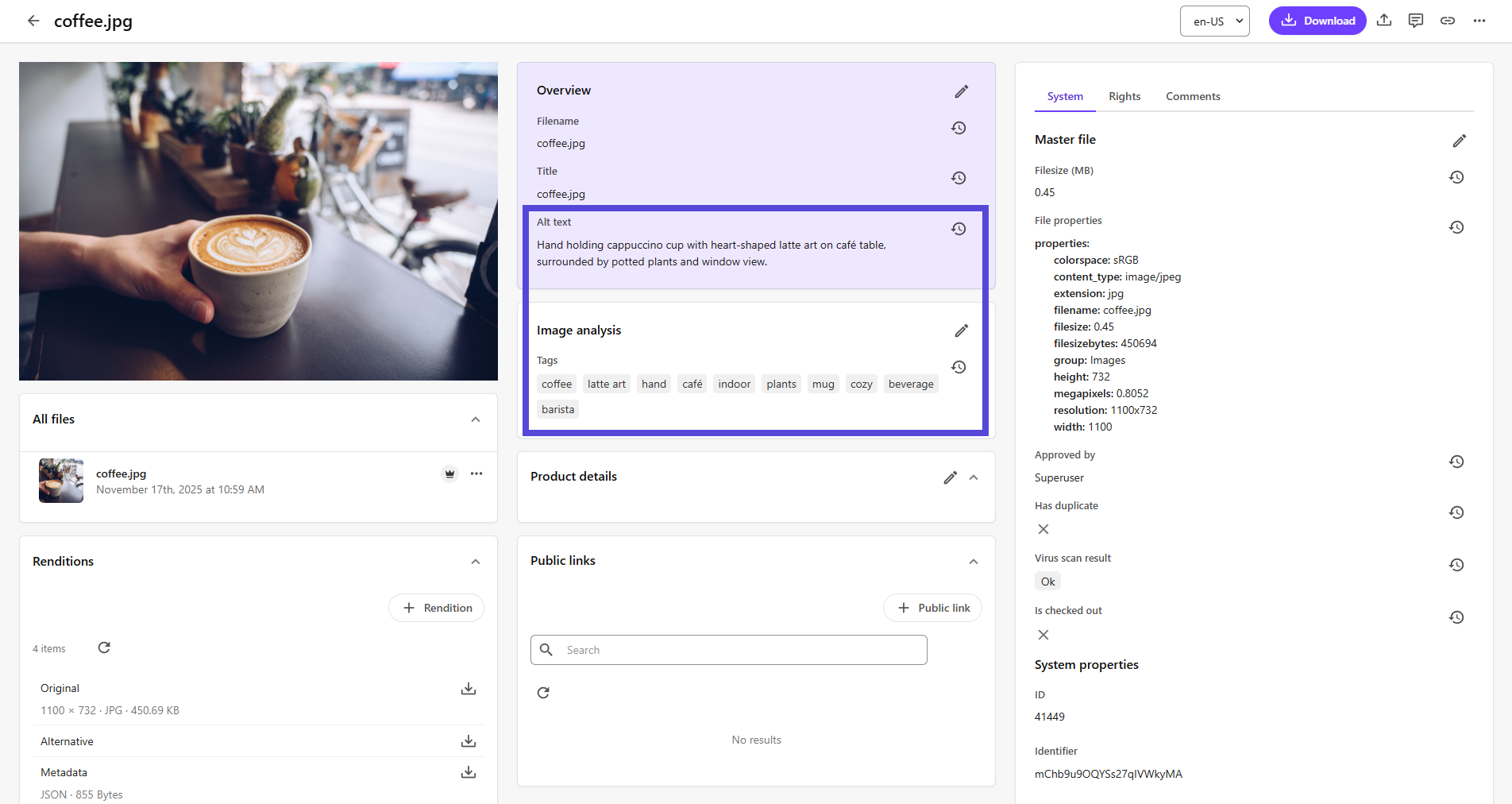 Asset details page showing automatic metadata enrichment.