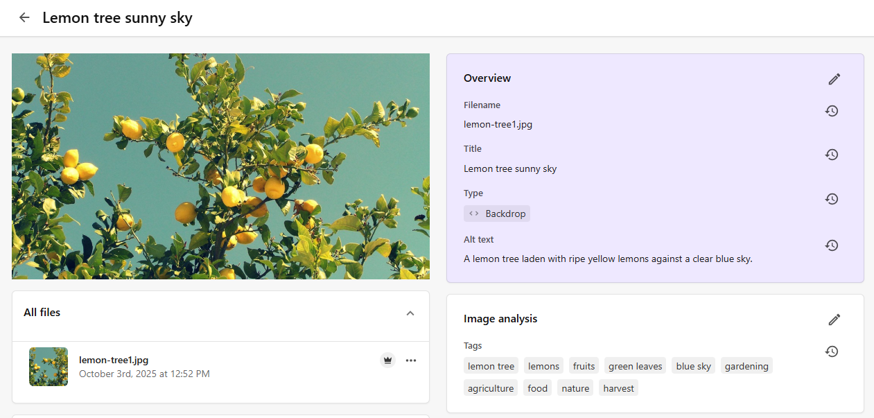Example of image tags generated using AI