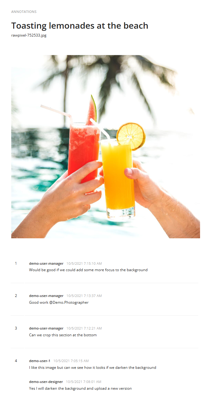 Image and vector annotation report