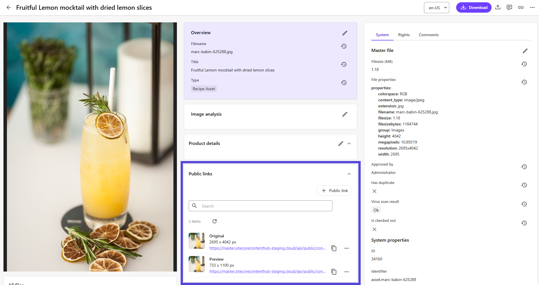 Asset details page with public links displayed.
