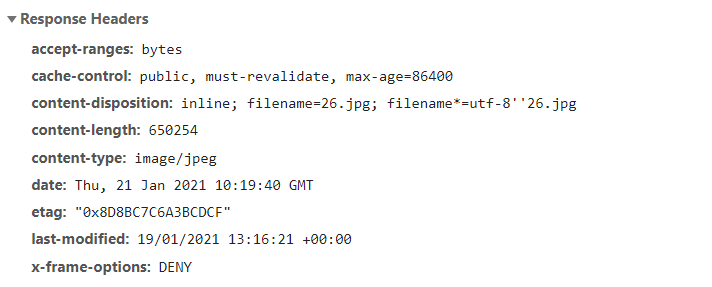 public links header example showing the headers: public-links-caching-headers.png