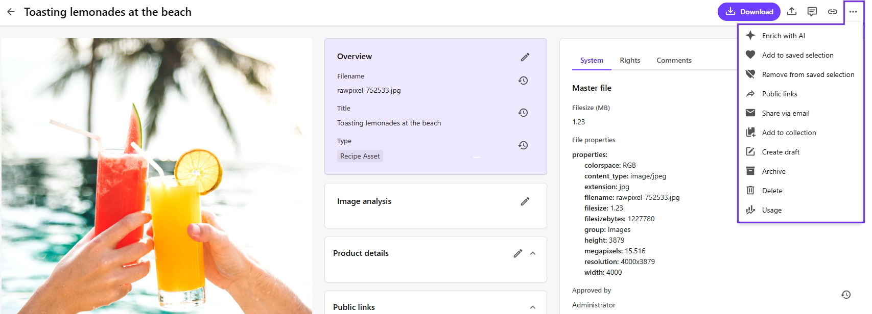 Enrich with AI button displayed on the asset details page