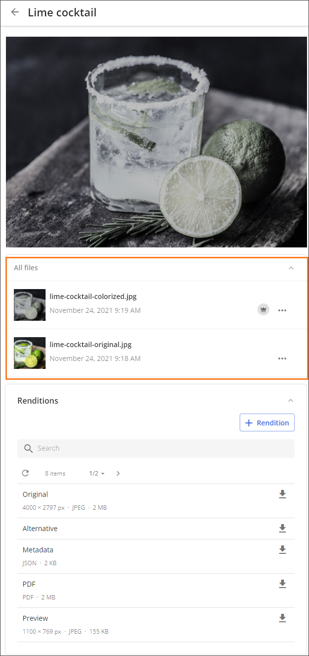 Two versions of a file