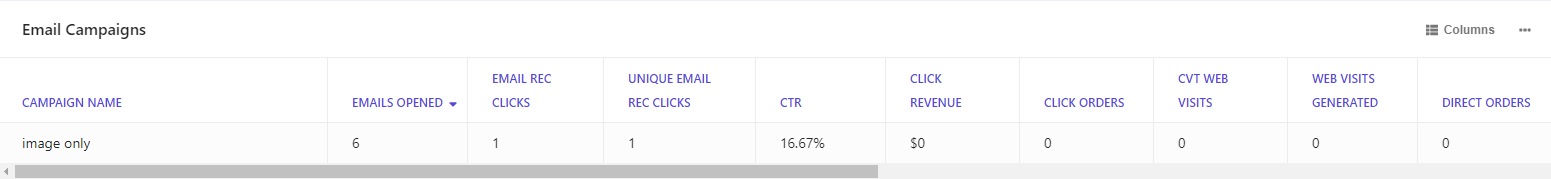 Screenshot of an email campaign explorer report.