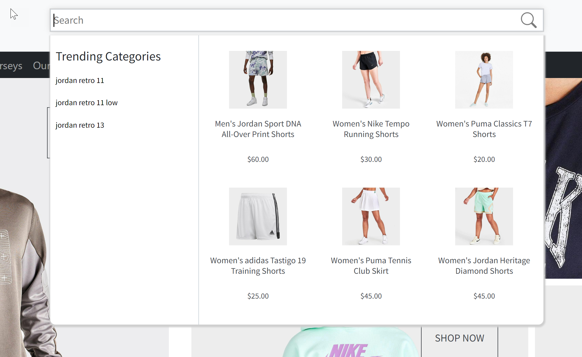 discover-preview-search-widget.png