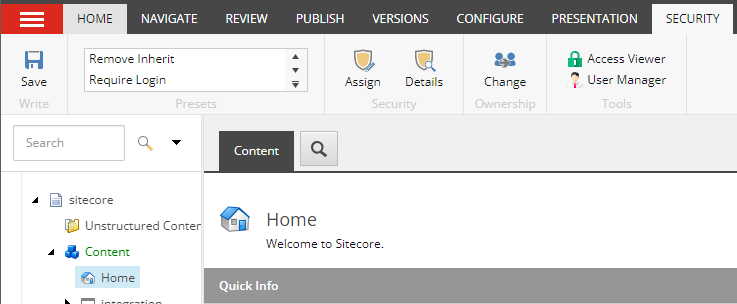 The security tab in the Content Editor.