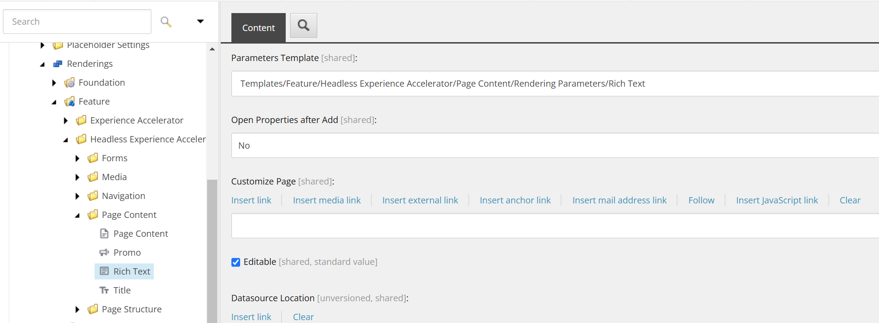 Rich Text component window showing checked editable check box