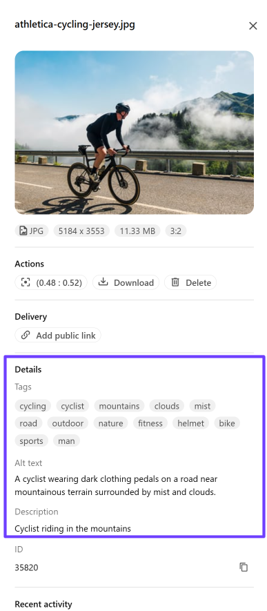 Media item details pane where you define image attributes Media item details pane where you define image attributes