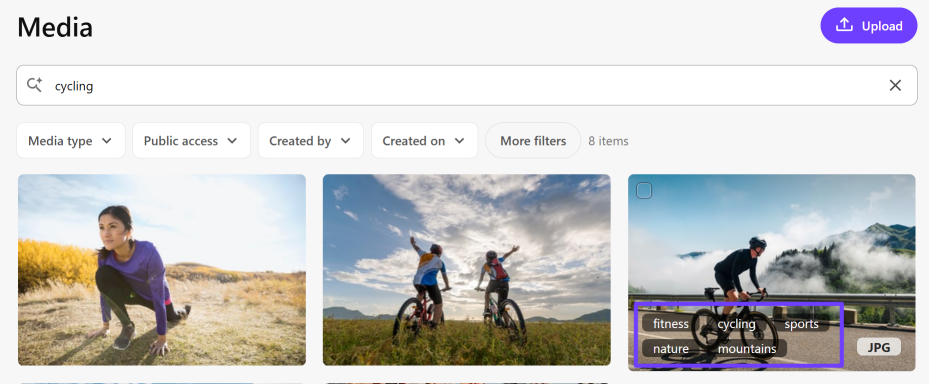 Media page showing a media item with the tags overlaid. Media page showing a media item with the tags overlaid.