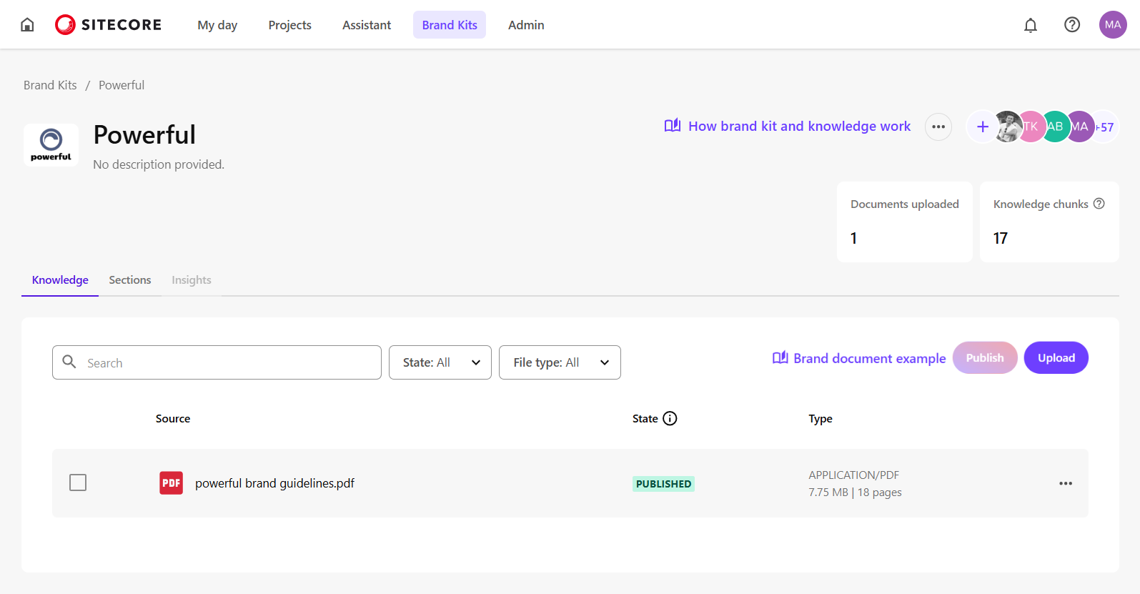 The brand kit consists of the Knowledge and Section tabs.
