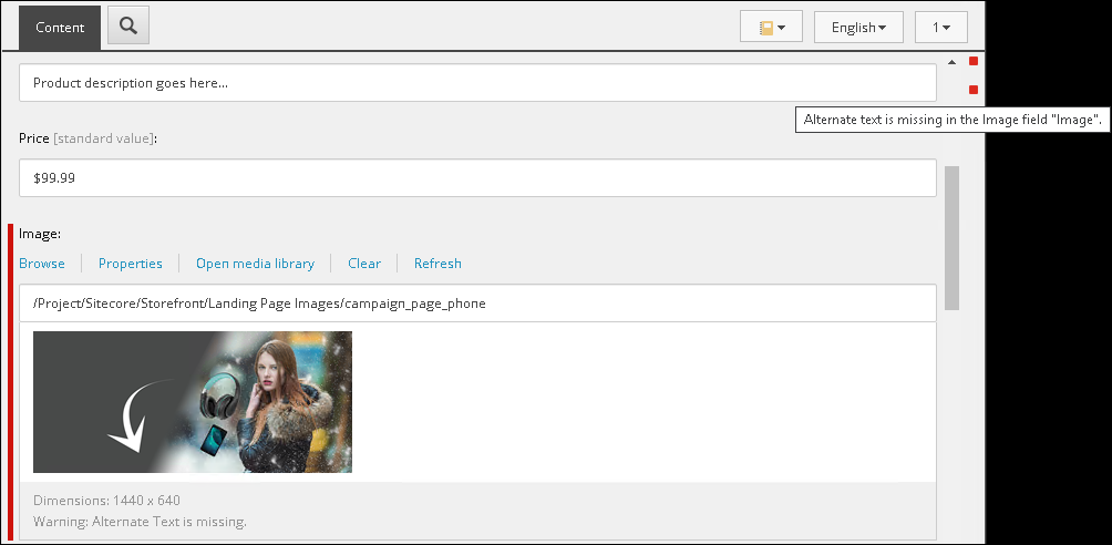 Example of field validation rule flag in the user interface.