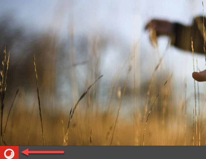 Sitecore Desktop application button