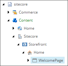 Storefront WelcomePage folder.