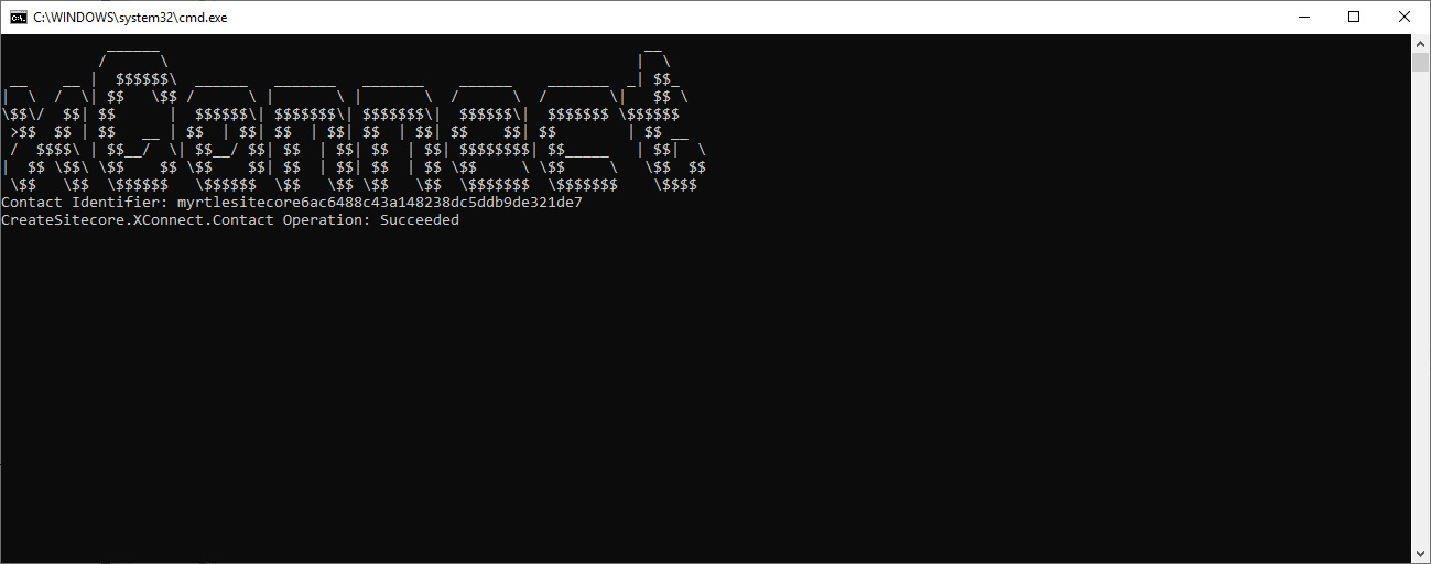 A terminal with the contact details in the app output. A terminal with the contact details in the app output.