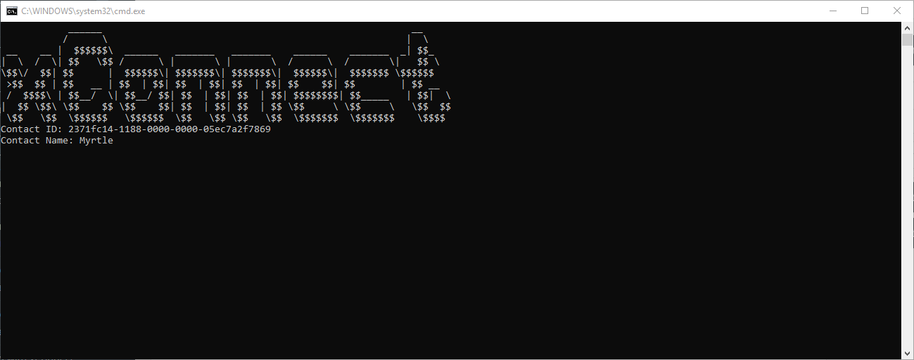 A terminal with the contact details in the app output. A terminal with the contact details in the app output.