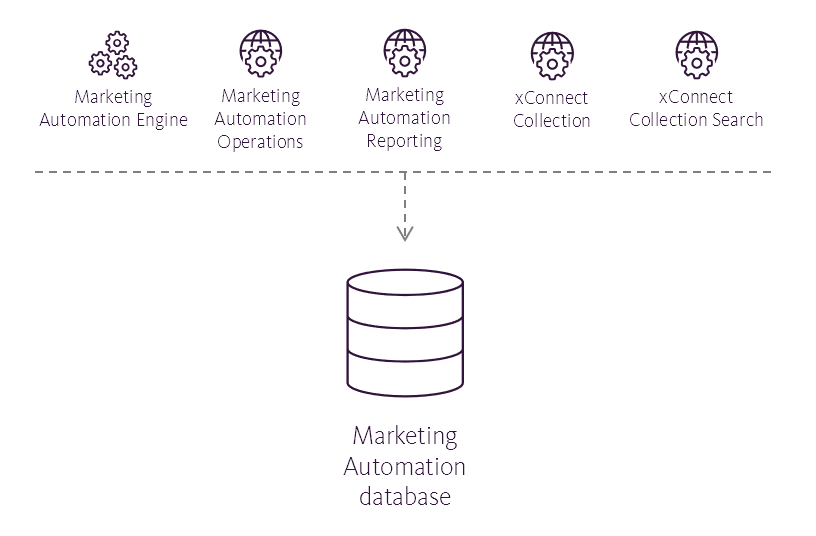 Illustration showing the Marketing Automation database's place in the Sitecore reference structure. Illustration showing the Marketing Automation database's place in the Sitecore reference structure.