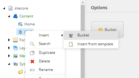 The right-click menu on the CMP folder, showing the option to insert a bucket item