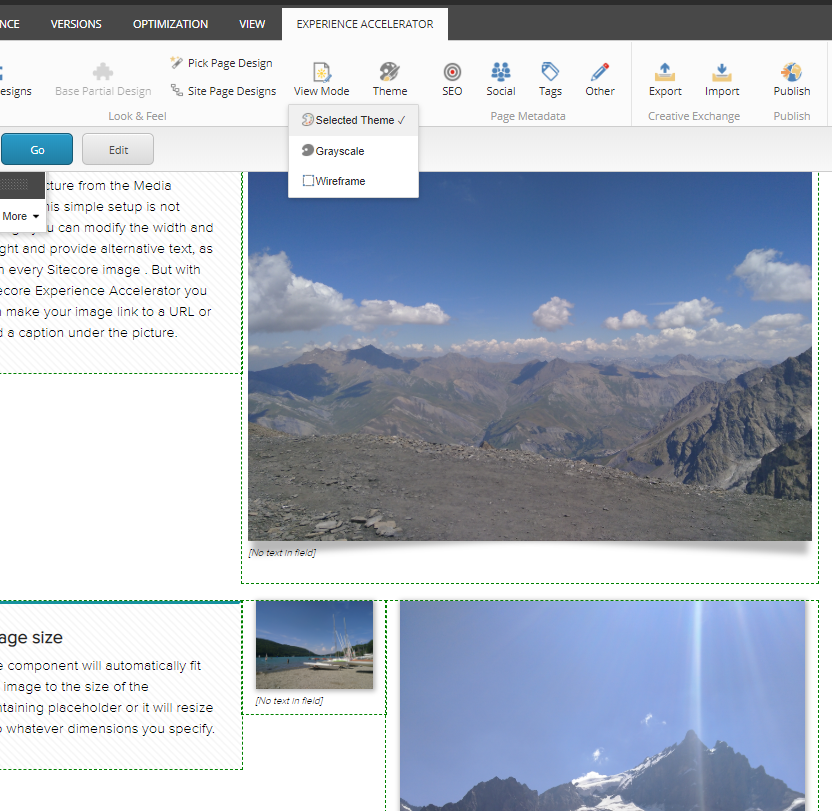 SXA-mode-selected-theme.PNG