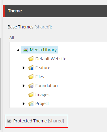 Select Protected theme to add the theme to CE settings.