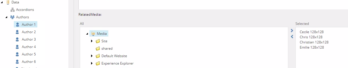 SXA-blog-related-media.png