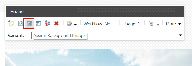 Assign background image option available in the Experience Editor.