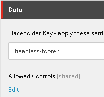 The Placeholder Key field under the placeholder settings