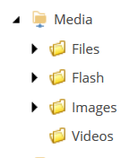 The media items in the Content Explorer.