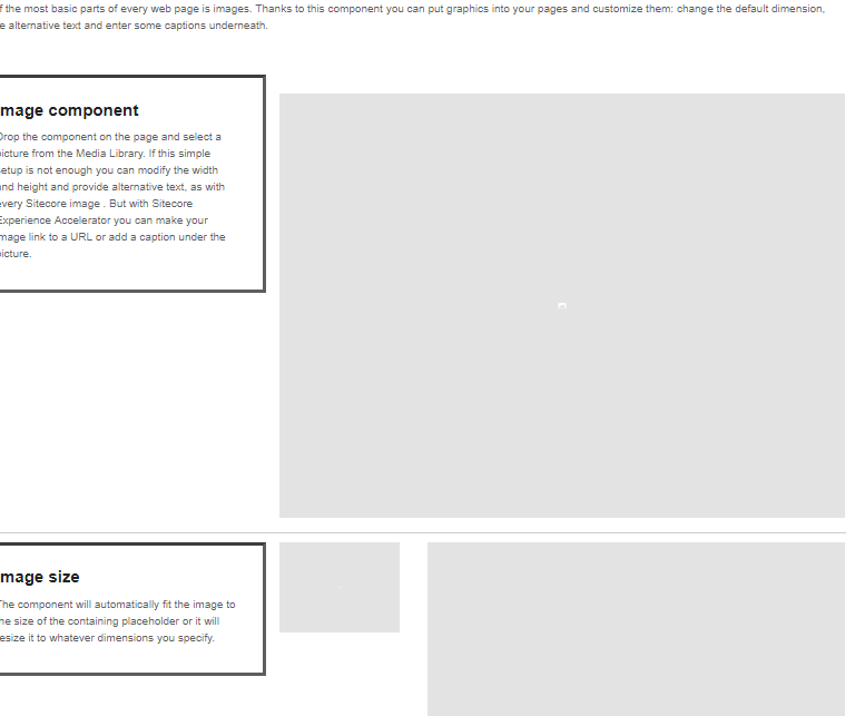 SXA-wireframe-new.PNG