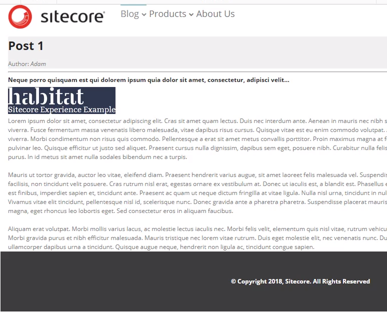 SXA-blog-example.png