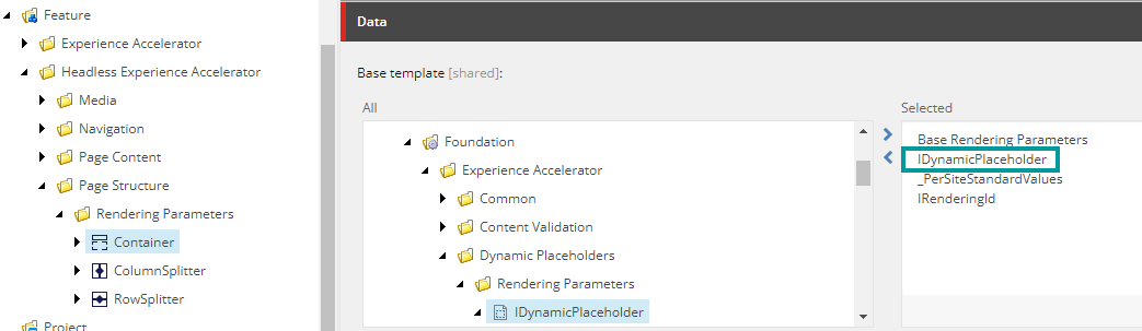 The IDynamicPlaceholder base template