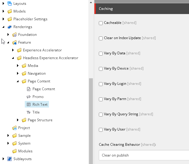 Set the caching option for a rendering. Set the caching option for a rendering.