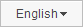 The Language button