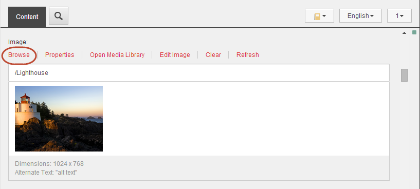 An image field in the Content Editor, and the Browse command