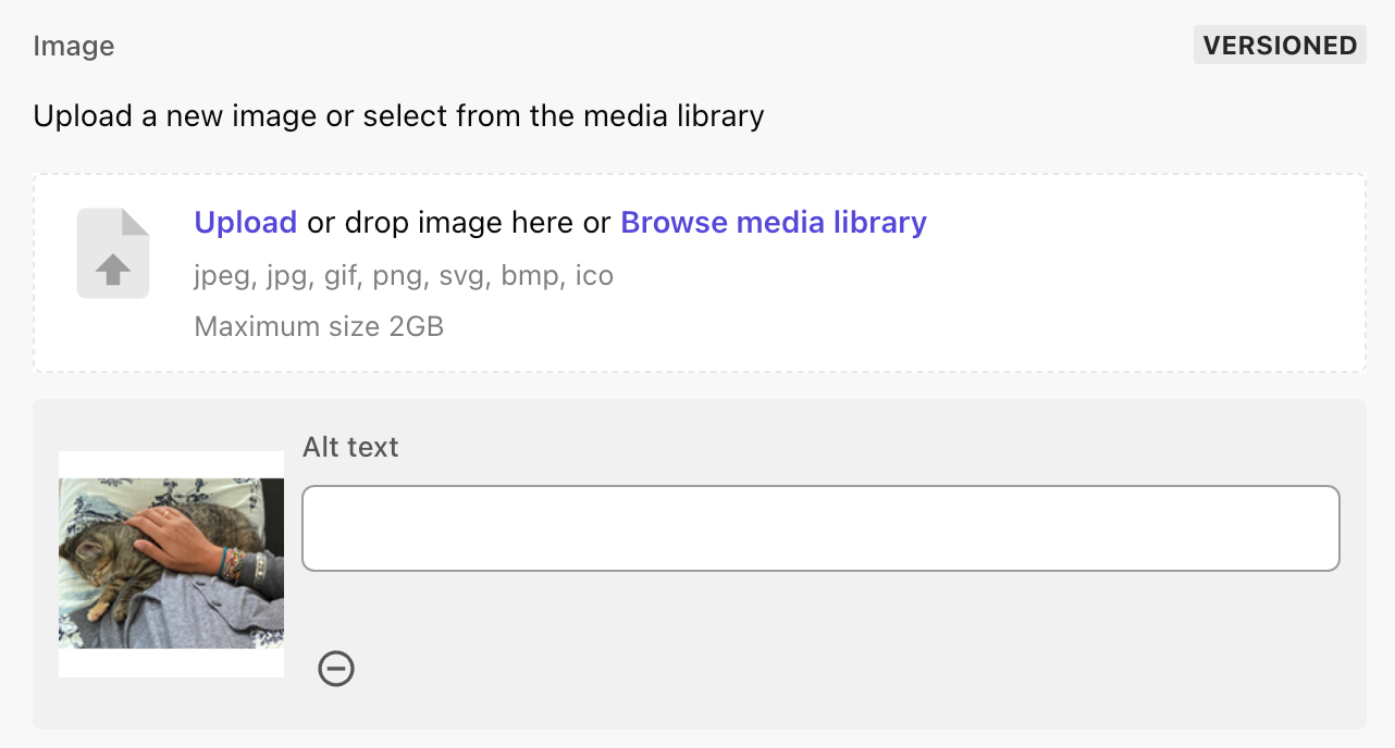 Screenshot of an image field in Content