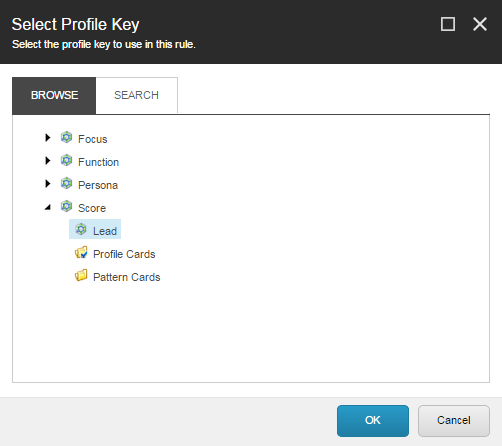 The Select Profile Key dialog box