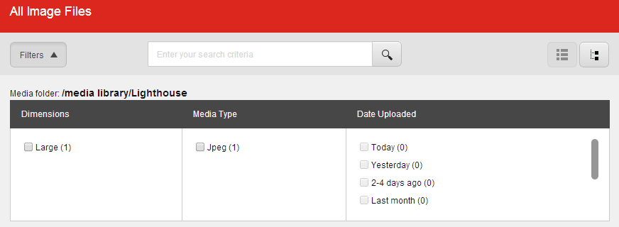 Filter options in the Select Media dialog box