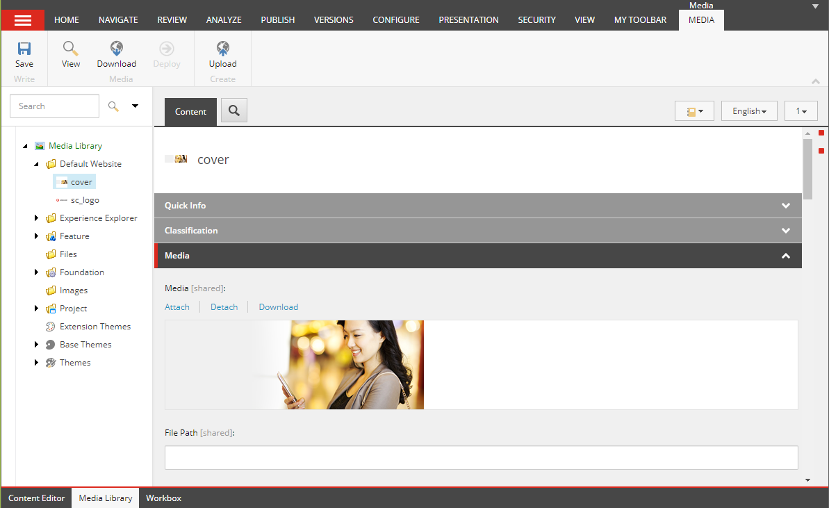 The Media tab in the Media Library ribbon