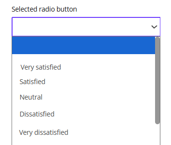 Selected radio button field.
