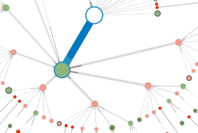 Nodes in a Path Analyzer map