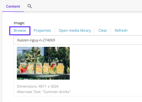 An image field in the Content Editor, and the Browse command An image field in the Content Editor, and the Browse command