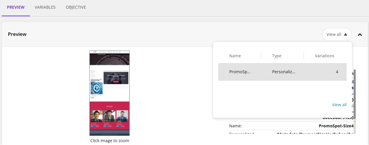 The Preview section of the dialog box