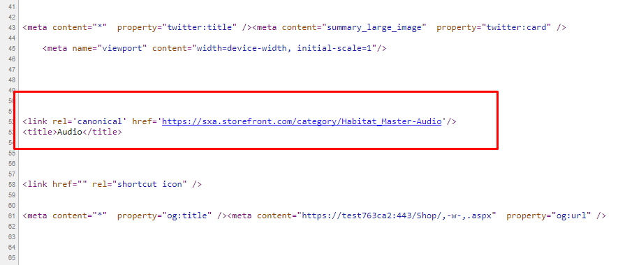 Metadata meta rendering on the live storefront site