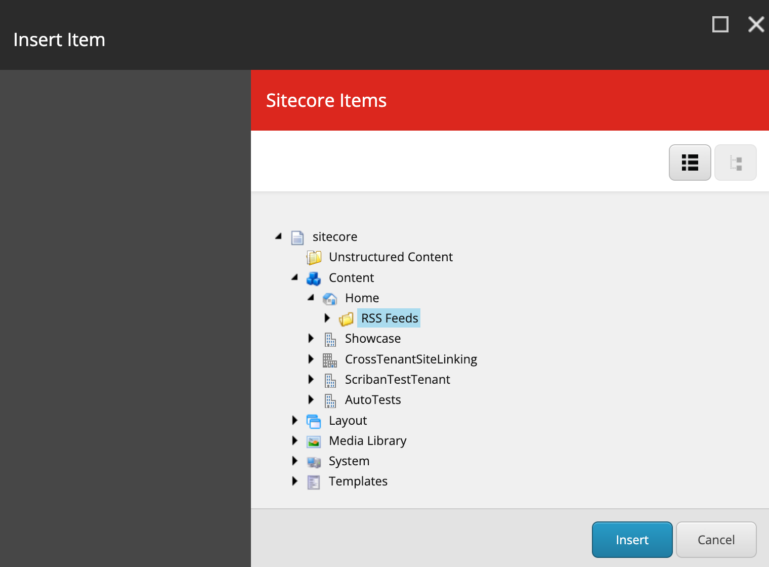 The Insert Item dialog box