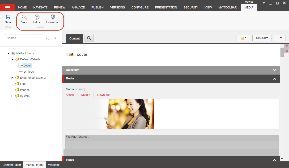 The Media tab in the Media Library ribbon