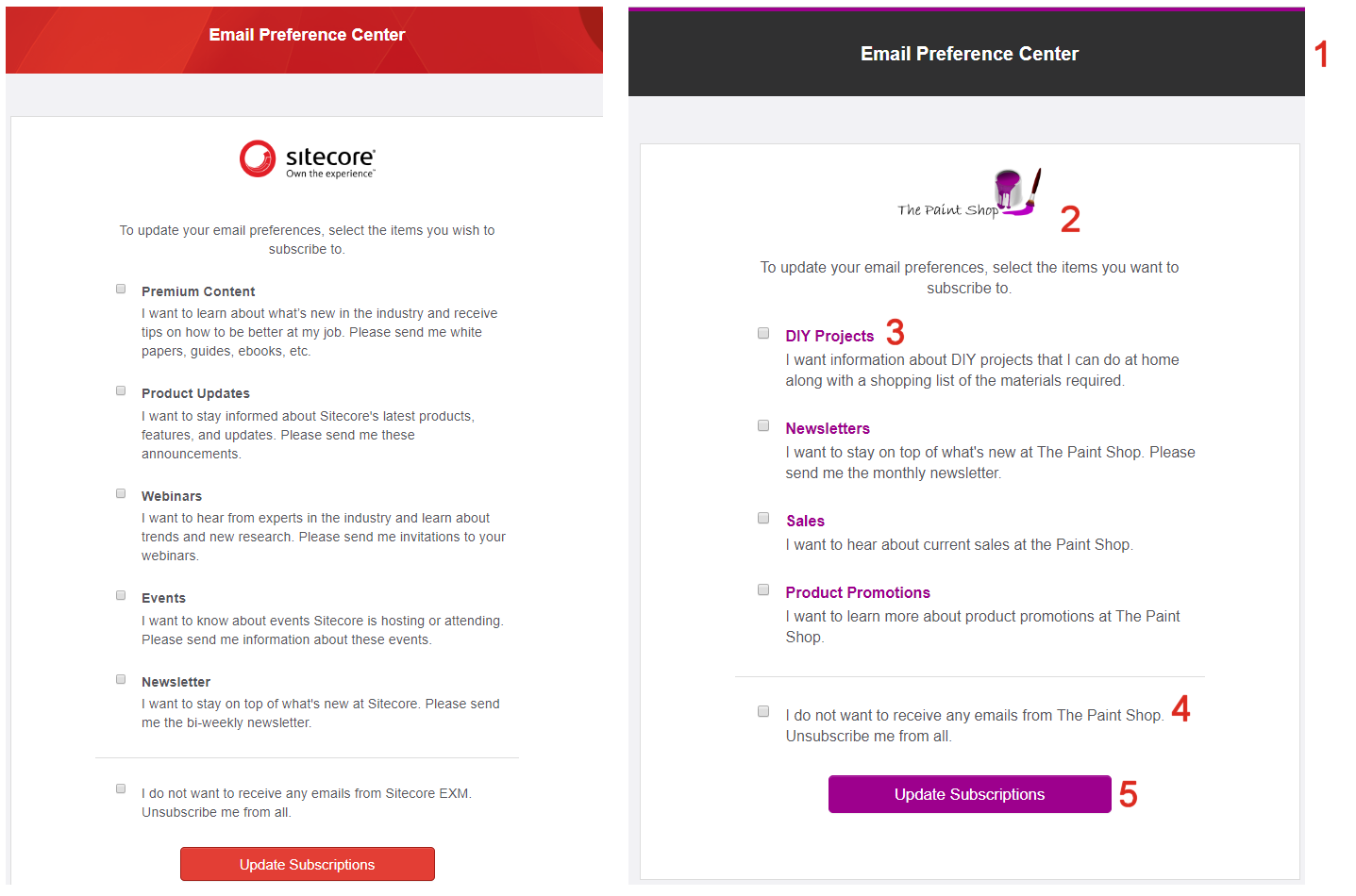 Example of a customized Preference Center.