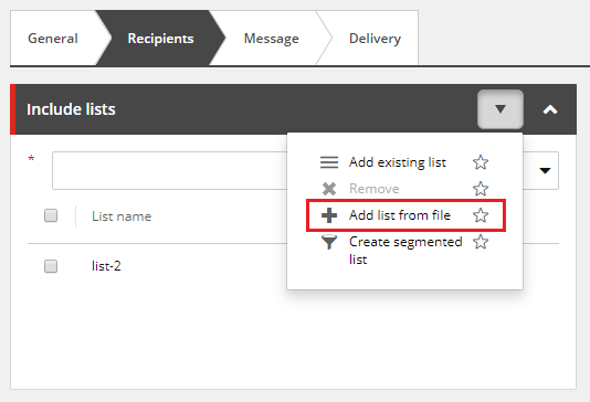 Email Experience Manager Recipients tab showing how to add list from file. Email Experience Manager Recipients tab showing how to add list from file.